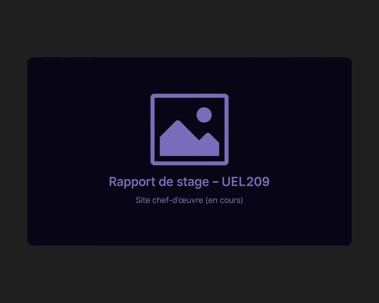 Rapport de stage - Mai 2025